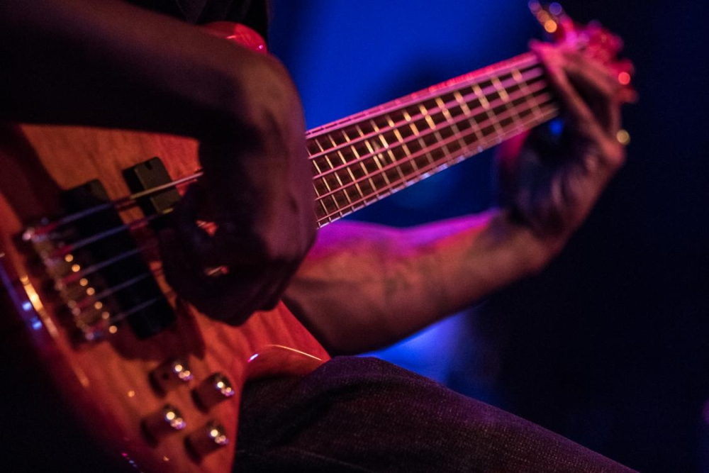 Tampa Bay Acoustic Music Festival at the Hard Rock Cafe | June 20th