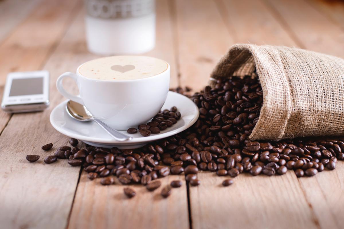 Best Coffee Houses in Tampa Bay