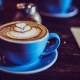 Where To Grab A Cappuccino in Tampa
