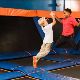 Join Jump For Paws For a Doggone Good Time at Sky Zone Tampa!